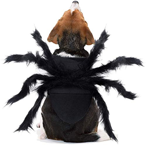 Spider Costume for Small Dogs  Pet Halloween Cosplay Costumes for Cat Dog Pet Costume Spider Halloween Decorations