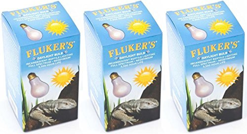 Flukers Pack of 3 Neodymium Daylight Bulbs  100 Watts  for Reptiles