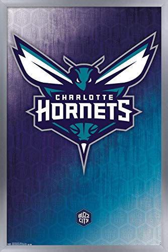Trends International NBA Charlotte Hornets - Logo 14 Wall Poster  22-375 x 34  Silver Framed Version