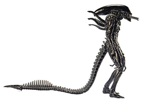 Hiya Toys Alien vs- Predator Alien Warrior 118 Scale Action Figure Multicolor Hiya Toys Alien vs- Predator Alien Warrior 118 Scale Action Figure Multicolor