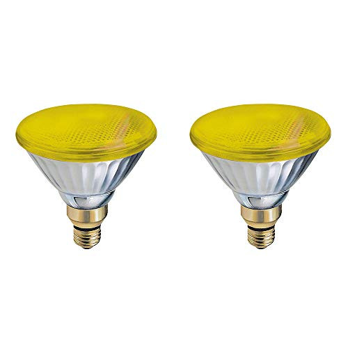 GE Lighting 13473 85-Watt -100W Equivalent- PAR38 Outdoor Incandescent Bug Lite  2 Pack