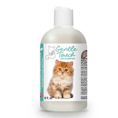 The Blissful Dog Gentle Touch Cat Shampoo  8-Ounce