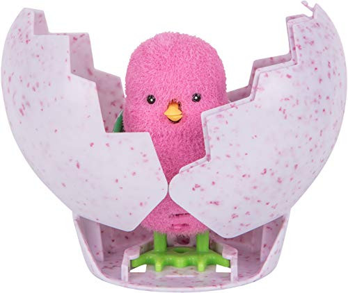 Little Live Pets Surprise Chick For Ages 5- Years