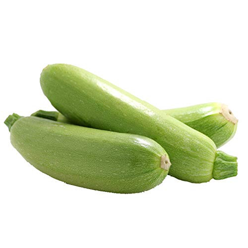 Green Beauty Zucchini Squash Seeds 13- Organic Non-GMO -Cucurbita Pepo- Melon Summer Vegetable Seeds for Home Yard Garden Planting