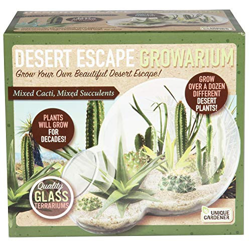 Unique Gardener Grow Your Own Desert Escape in A Quality Glass Terrarium - Easy to Maintain Cacti and Succulents - Over A Dozen Desert Plants That Wil Unique Gardener Grow Your Own Desert Escape in A Quality Glass Terrarium - Easy to Maintain Cacti and Succulents - Over A Dozen Desert Plants That Wil