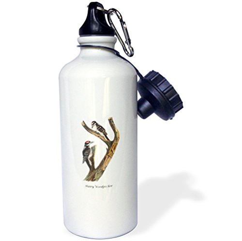 3dRose Hairy Woodpecker by John James Audubon Sports Water Bottle  21 oz  White