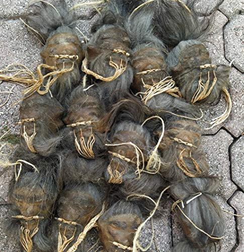 Daprofe Shrunken Head Replica with Grey Hair Includes one-1- Head Similar to Those Shown in Photo