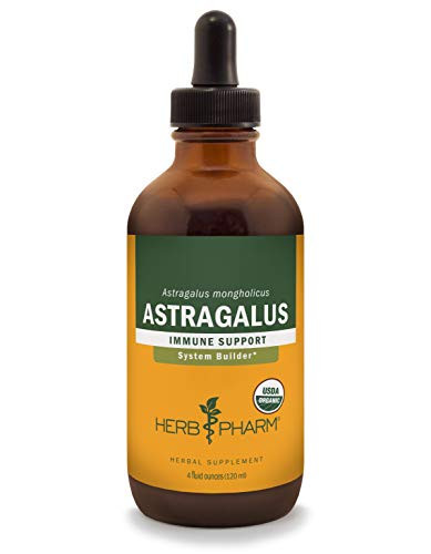 Herb Pharm Certified Organic Astragalus Liquid Extract for Immune System Support - 4 Fluid Ounce -DAST04-