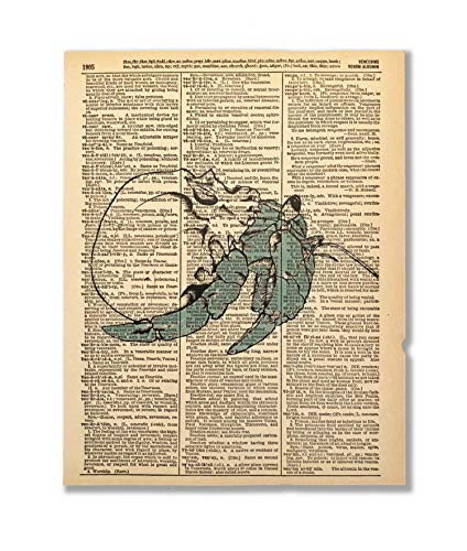 Hermie Upcycled Vintage Dictionary Art Print 8x10 UNFRAMED Instinct Collection