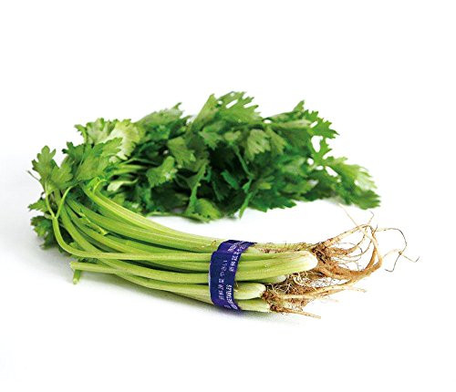 Herb Seeds 10g Cutting Celery Chinese Parsley Garden Vegetable Organic Green Leaf Fresh Seeds for Planting Indoor or Outside for Cooking Dish Soup Sal Herb Seeds 10g Cutting Celery Chinese Parsley Garden Vegetable Organic Green Leaf Fresh Seeds for Planting Indoor or Outside for Cooking Dish Soup Sal