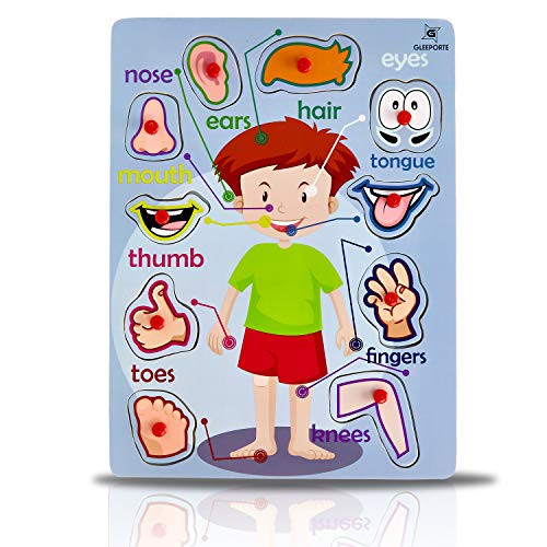 Wooden Peg Puzzle  My Body - Outside - Learning Educational Pegged Puzzle for Toddler and Kids -10 pcs- Gleeporte
