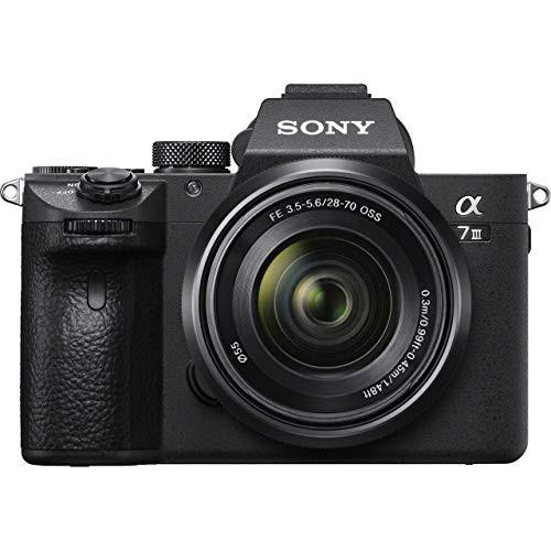Expert Shield screen protector for Sony A7R IV - A7R III - A7 III - A7S III - GLASS