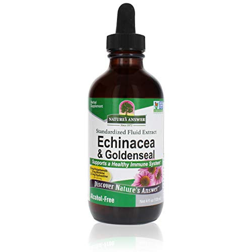 Natures Answer Echinacea and Goldenseal - Supports a Healthy Immune System - Non-GMO  Alcohol-Free  Gluten-Free and Kosher Certified 4oz