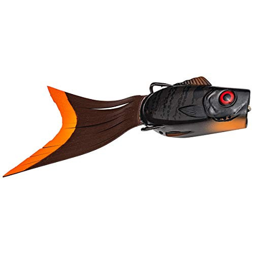 Strike King Lures KVD Pipsqueak Popping Perch Lure 5 Length 3-8 oz Floating Depth Pumpkin Gill Package of 1 -PIPPKVD-46- Strike King Lures KVD Pipsqueak Popping Perch Lure 5 Length 3-8 oz Floating Depth Pumpkin Gill Package of 1 -PIPPKVD-46-