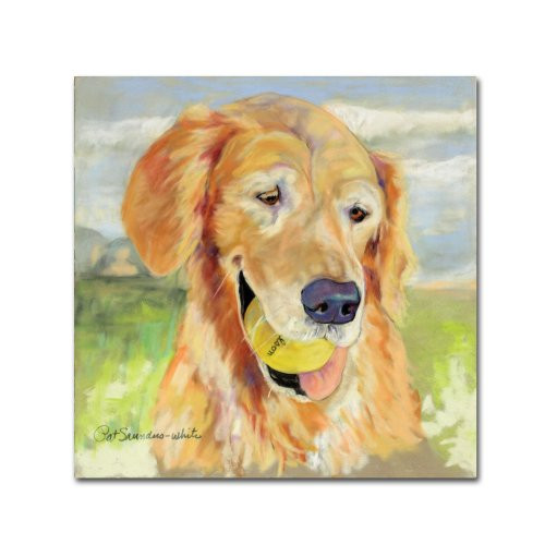 Trademark Fine Art Gus by Pat Saunders, 24 by 24-Inch Canvas Wall Art