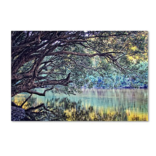 Trademark Fine Art A Place to Dream Artwork by Beata Czyzowska Young, 22 by 32-Inch Canvas Wall Art Trademark Fine Art A Place to Dream Artwork by Beata Czyzowska Young, 22 by 32-Inch Canvas Wall Art