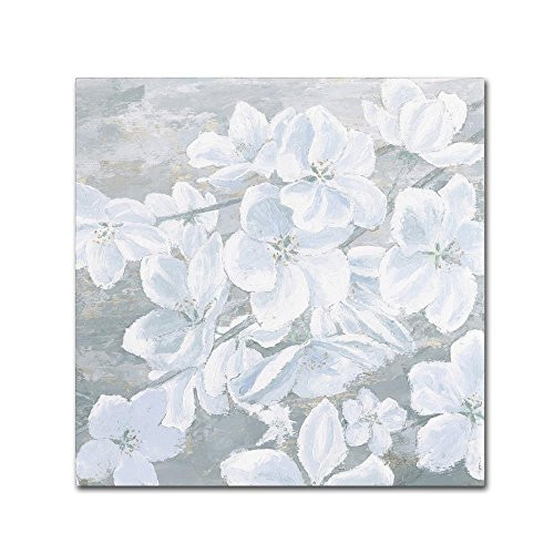 Trademark Fine Art Grand Array I Crop by James Wiens, 24x24-Inch Canvas Wall Art