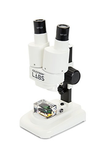 Celestron S20 Portable Stereo Microscope w/20x power, 2 Insect Specimens in clear plastic, 2 AA batteries, Upper Illuminator