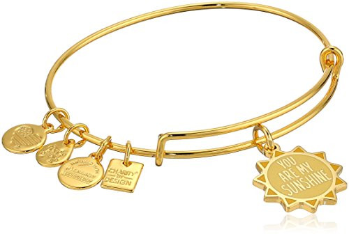 Alex and Ani Womens You Are My Sunshine Charm Bangle Bracelet  Shiny Gold  Expandable