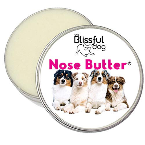 The Blissful Dog Australian Shepherd Unscented Nose Butter - Dog Nose Butter  1 Ounce