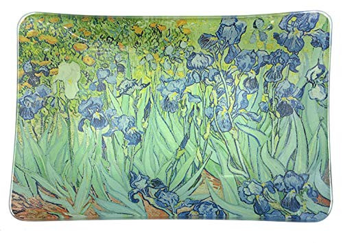 Value Arts Trinket Dish  Vincent Van Gogh Irises  Rectangular Glass Catchall Jewelry Tray  5-75 Inches Wide