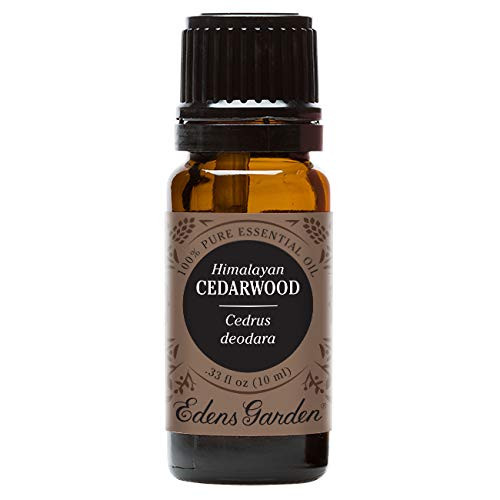 Edens Garden Cedarwood Himalayan Essential Oil 100 Pure Therapeutic Grade -Acne and Skin Care- 10 ml Edens Garden Cedarwood Himalayan Essential Oil 100 Pure Therapeutic Grade -Acne and Skin Care- 10 ml