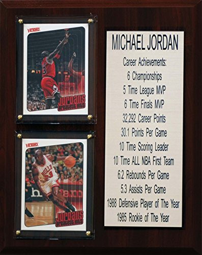NBA Chicago Bulls Michael Jordan Career Stat Plaque  8 x 10  Brown