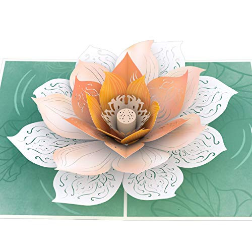 Lovepop Lotus Bloom Pop Up Card - 3D Card  3D Greeting Card  Pop Up Anniversary Card  Mothers Day Card  Card for Mom  Card for Wife  Pop Up Birthday