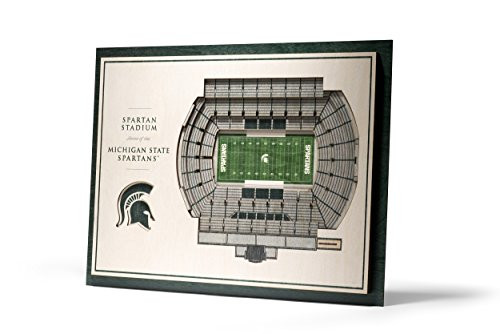 YouTheFan NCAA Michigan State Spartans 5-Layer StadiumView 3D Wall Art