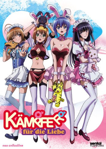 Kämpfer für die Liebe