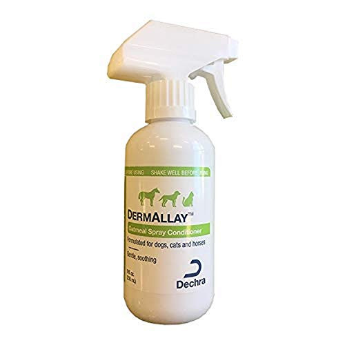 Dechra DermAllay Oatmeal Spray Conditioner for Dogs  Cats and Horses -8oz- - Gentle and Soothing  8 Ounce -1810077-