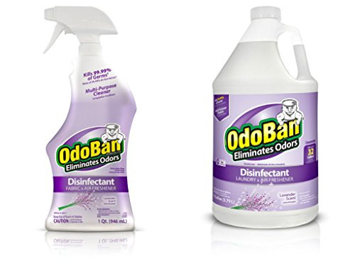 OdoBan Ready-to-Use 32 oz Spray Bottle and 1 Gal Concentrate  Lavender Scent - Odor Eliminator  Disinfectant  Flood Fire Water Damage Restoration