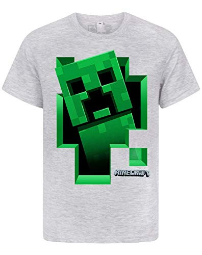 Minecraft T Shirt Green Creeper Boys-Kids Grey Short Sleeve Mojang Top