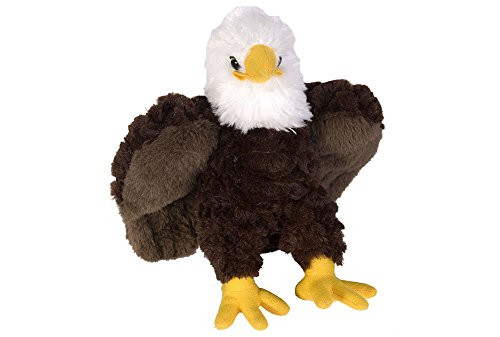 Wild Republic Bald Eagle Plush  Stuffed Animal  Plush Toy  Gifts for Kids  Cuddlekins 8 Inches