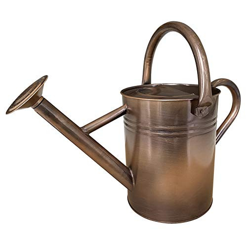 SunnyTong Galvanized Steel Watering Can Metal Watering Can for Outdoor Plants with Copper Accents  1 Gallon  Copper