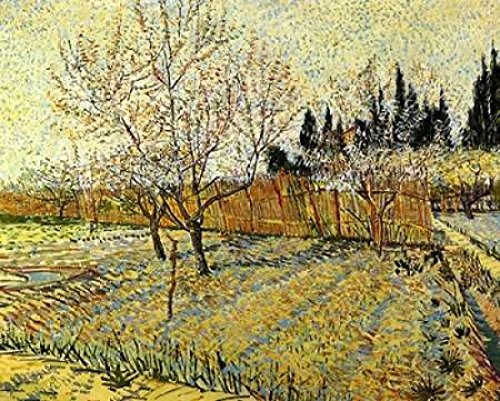 Orchard Springtime Poster Print by Vincent Van Gogh -11 x 14-