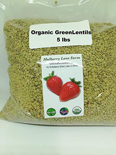 Green Lentils 5 Pounds Whole USDA Certified Organic  Non-GMO  Bulk