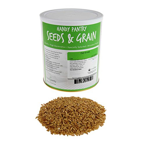 Organic Hulled Oat Groats -Hull Removed- 5 Lbs - Non-GMO Oats - Cereal Grain - Emergency Food Storage  Grains  Rolling for Oatmeal  and More