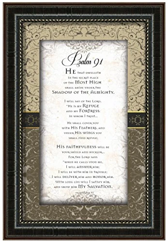 Carpentree 83856 Psalm 91 Framed Art, 13 x 19
