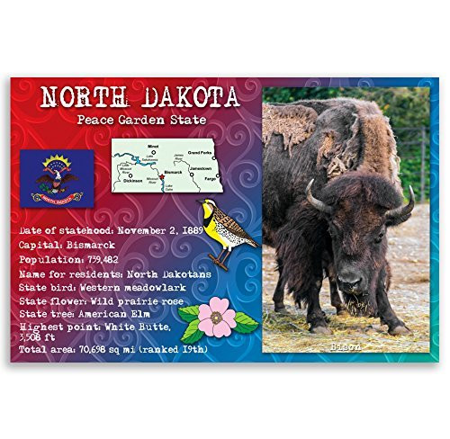 NORTH DAKOTA STATE FACTS postcard set of 20 identical postcards- Post cards with ND facts and state symbols- Made in USA-