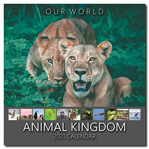 Our World Animal Kingdom 2021 Animal Nature Wall Calendar