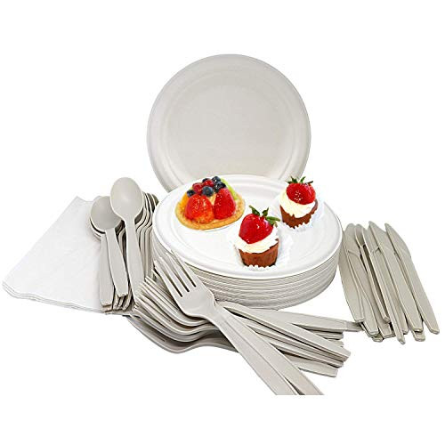 Biodegradable Plate Set  Compostable Plates and Utensils  Includes Napkins  Forks  Knives and Spoons  Eco-Friendly Paper Plates  Plates For Party  Apps  D