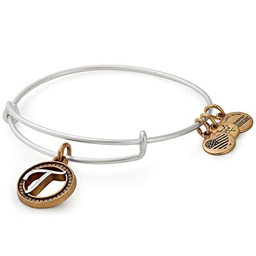 Alex and Ani Womens Initial T II Bangle Two Tone Bracelet  Rafaelian Silver  Expandable