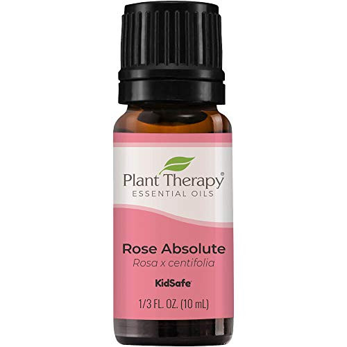 Plant Therapy Rose Absolute Essential Oil 100 Pure  Undiluted  Natural Aromatherapy  Therapeutic Grade 10 mL -1-3 oz-
