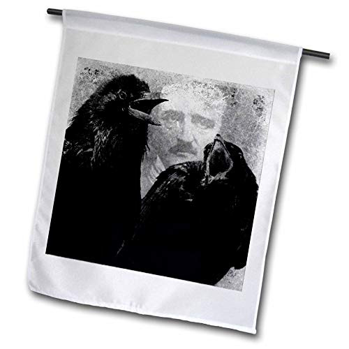 3dRose fl-130450-1 Poe Ravens Grunge Digital Art by Angel and Spot Garden Flag 12 by 18-Inch 3dRose fl-130450-1 Poe Ravens Grunge Digital Art by Angel and Spot Garden Flag 12 by 18-Inch