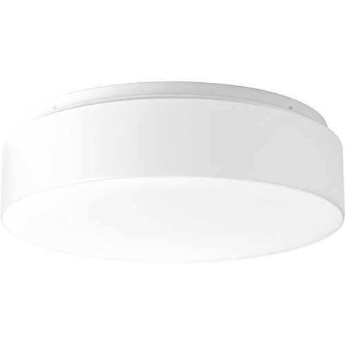 Progress Lighting P730002-030-30 LED Flush Mount, White