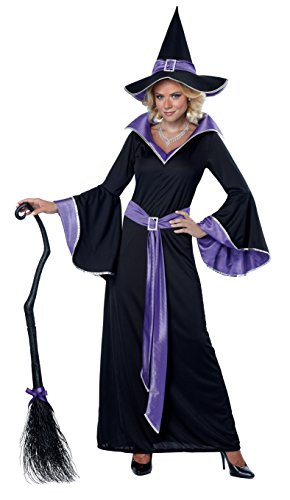 California Costumes Womens Incantasia  The Glamour Witch Black-Purple Medium Costume