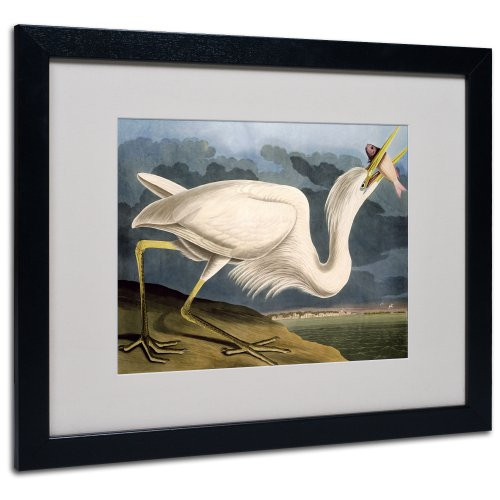 Great White Heron Matted Artwork by John James Audubon with Black Frame, 16 by 20-Inch