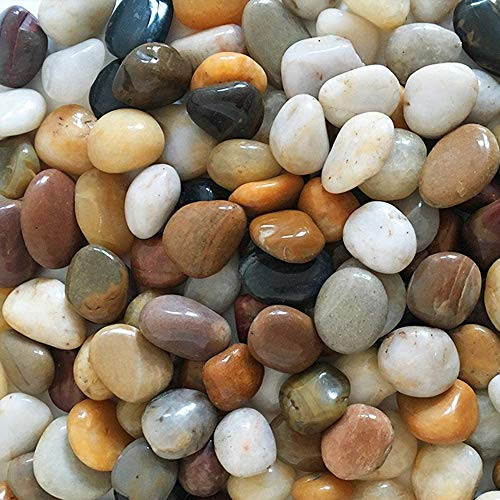 River Rock Stones Natural Decorative Polished Mixed Pebbles Gravel Outdoor Decorative Stones for Plant Aquariums Landscaping Ponds and terrariums River Rock Stones Natural Decorative Polished Mixed Pebbles Gravel Outdoor Decorative Stones for Plant Aquariums Landscaping Ponds and terrariums