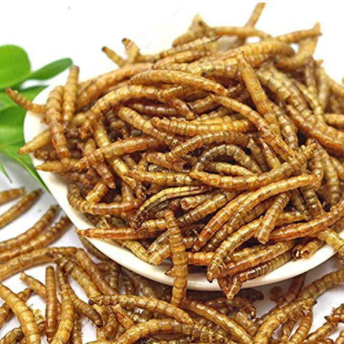 SUNBELY 5lb Dried Mealworms High Protein Non-GMO Treats for Chickens Birds Reptiles Organi Feed